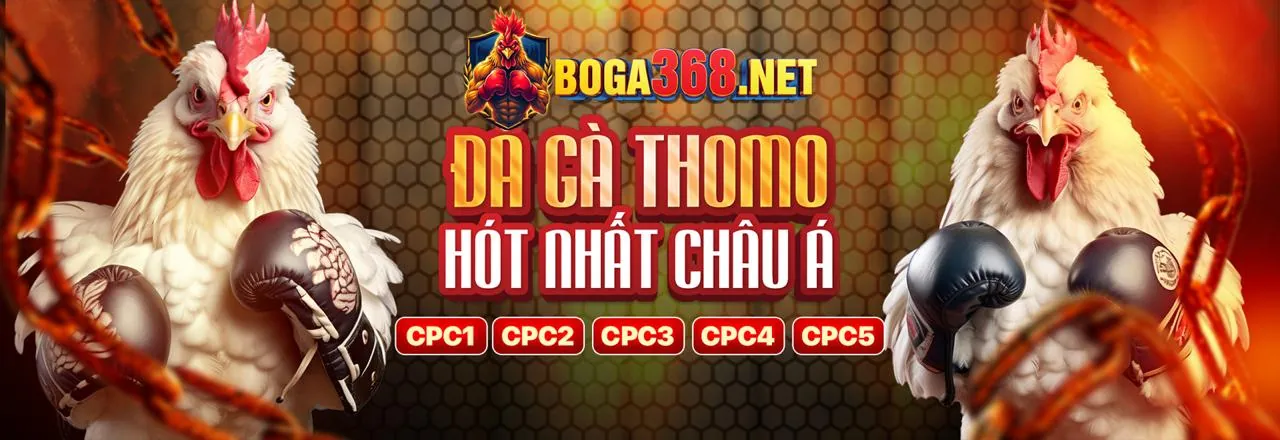 Hỗ Trợ Khách Hàng 777win bet
